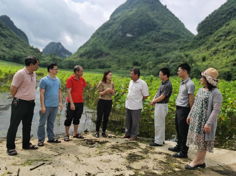 蓝必忠来到忻城县,与县,乡科技人员一同来到田间地头