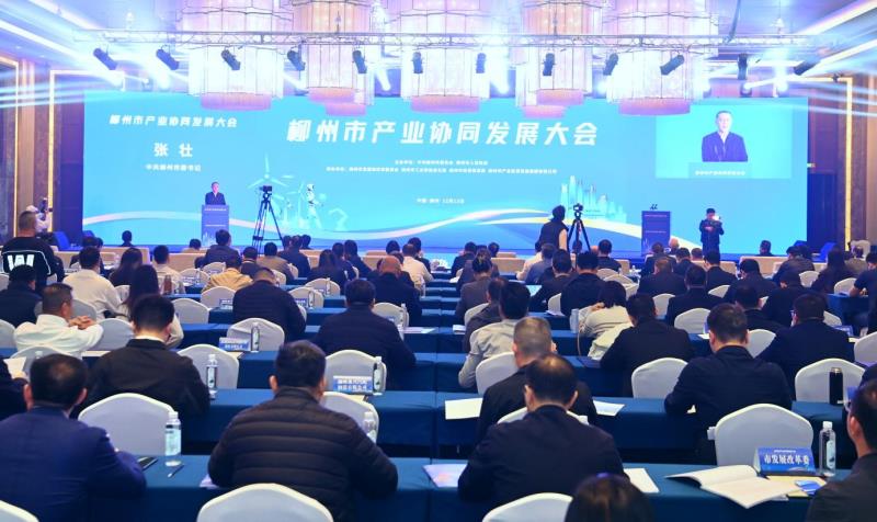 大会现场。柳州市融媒体中心记者 黄蕊 摄