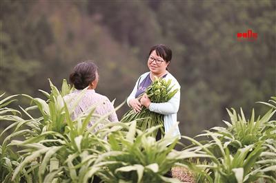 柳州妹杨宁荣获全国三八红旗手标兵